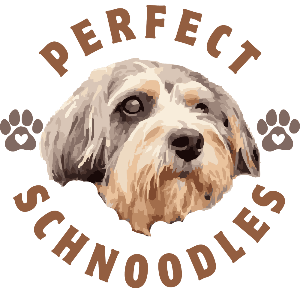 perfect schnoodles perth wa